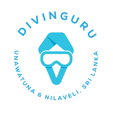 divinguru.com